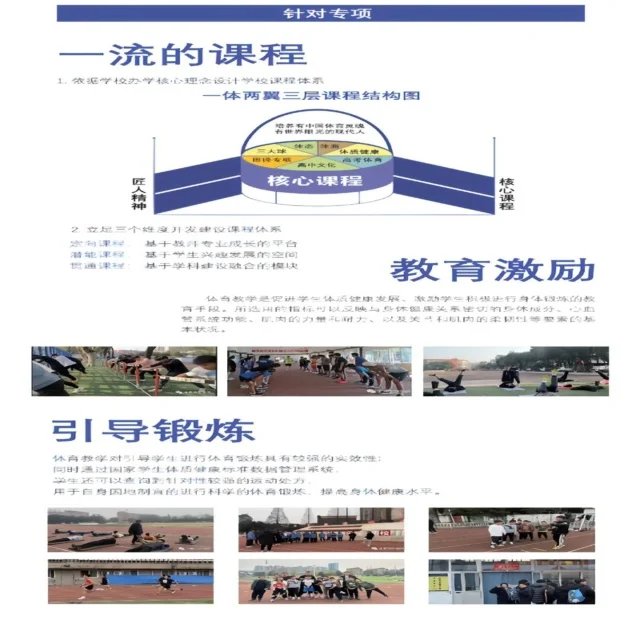 郑钦文红土赛场表现全面解析